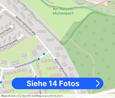 3.5-Zimmer-Wohnung mit Balkon in Gelsenkirchen-Hassel mieten - Foto 1