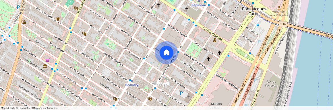 1415 Rue Plessis, app. 2, Montréal (Ville-Marie), H2L2X2