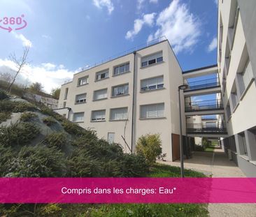 Location Appartement 1 pièce 19m² AUZEVILLE TOLOSANE 31320 - Photo 2