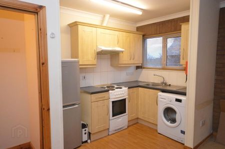 19g Charlemont Street,, Moy, Dungannon, BT71 7SL - Photo 4