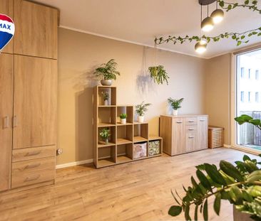 Do wynajęcia 3 pokoje w centrum Zielonej Góry! - Фото 4