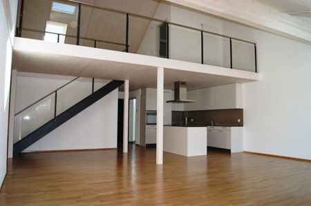 Appartement lumineux et spacieux (226 m2) avec galerie - Photo 3