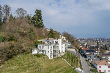 Mennweg 1, 9434 Au SG - Photo 4