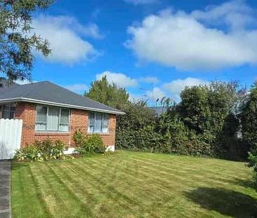 Spacious Tidy Family Home - Photo 2