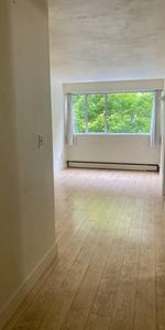 1 BDRM DOWNTOWN / WEST END VANCOUVER - Photo 3