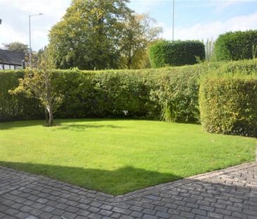 3 Bedroom Semi Detached To Let - Photo 4