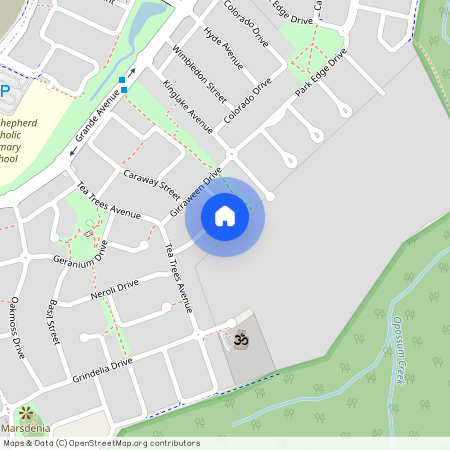 24 Chamomile Street, Springfield Lakes QLD 4300