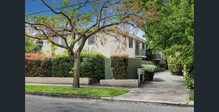 2 / 14 Repton Rd, Malvern East - Photo 3
