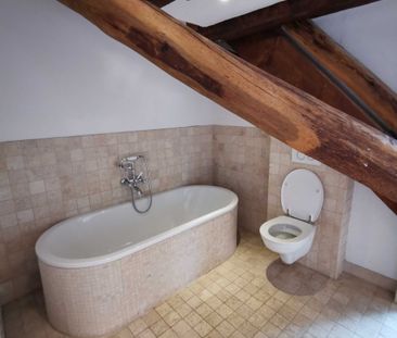 Location Maison 177 M² LIEBENSWILLER 2 010 € - Photo 3