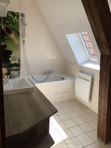 Location Appartement 4 pièces 80m² SARREGUEMINES 57200 - Photo 3