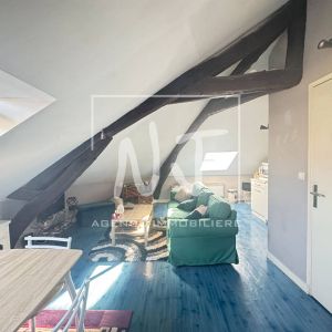 APPARTEMENT A LOUER ANGERS 49000 HYPER CENTRE - Photo 2