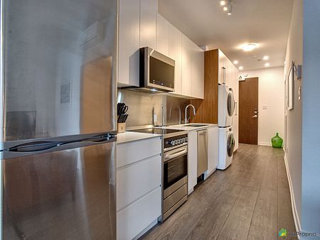 125 rue Charlotte - Unité 3 ½ - Le Zendo, Ville-Marie (Centre-Ville et Vieux-Montréal) à louer - Photo 3