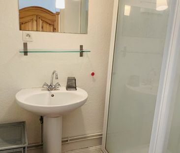 Appartement 1 pièce à Strasbourg - Photo 3