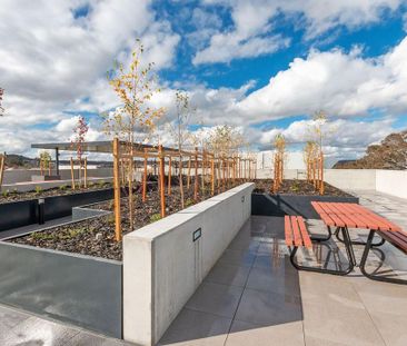 12 Pioneer Street, Amaroo ACT 2914 - Apartment For Rent | Domain - Photo 1