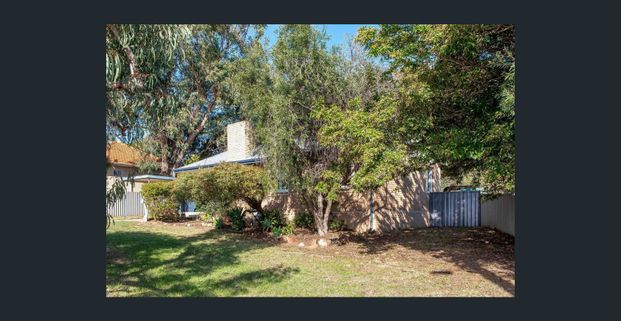 Pet Friendly Family Favourite - Photo 1