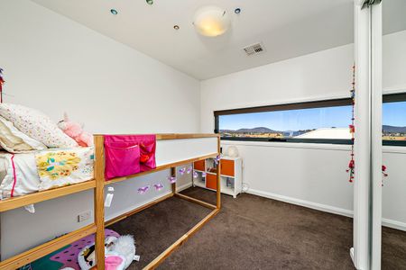 17 Butterfish Street, Harrison ACT 2914 - House For Rent | Domain - Photo 5