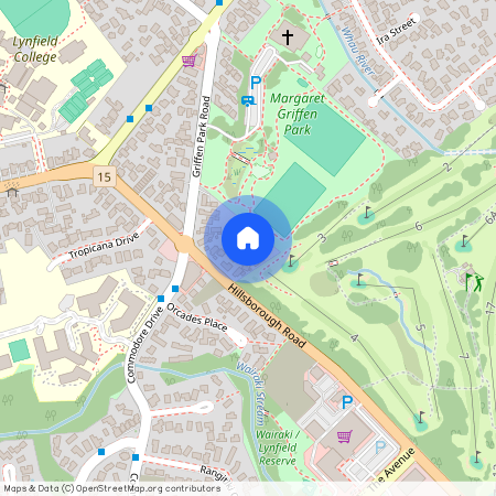 681A Hillsborough Road, Mount Roskill, Auckland City