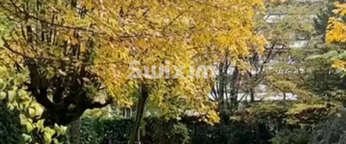 4-room apartment with garden in Champel - Photo 1