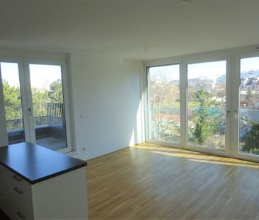Wunderschöne sonnige 83m² Terrassenwohnung, Zweitbezug, 3 Zimmer, z... - Foto 1