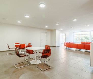 Gerenoveerde studentenkamers & studio’s - Photo 1