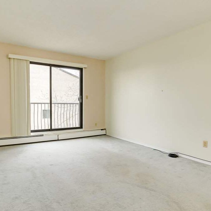 Renovated Suite - 2 Bedroom - Photo 1