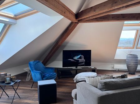 Einmalige Gelegenheit - wunderschöne Loftwohnung beim Zolli - Foto 2