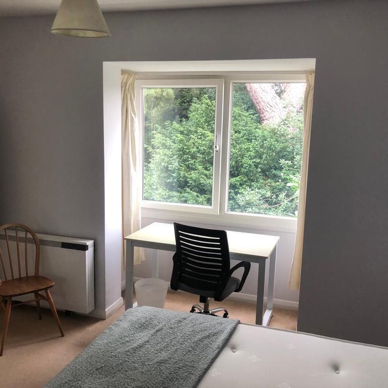 1 bedroom in a house share to rent - Photo 1