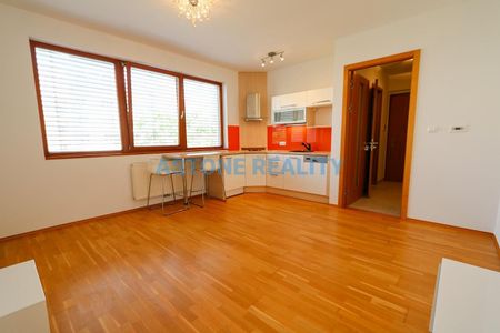 Pronájem bytu 1+kk 30 m² - Fotografie 4