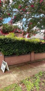 29 Greenbank Street, 2204, Marrickville Nsw - Photo 4