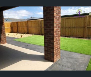 24 Clarendon Road, Drysdale, Vic 3222 - Photo 3