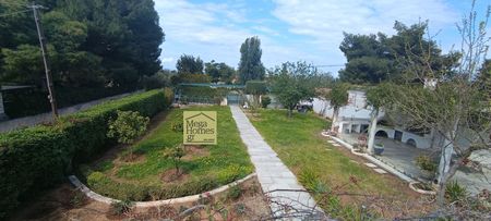 Μονοκατοικία για ενοικίαση Μαύρο Λιθάρι (Ανάβυσσος) - Photo 5
