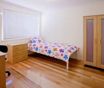 SH1 Small/Medium - Photo 3