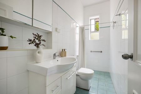 61 Unwins Bridge Road, Sydenham NSW 2044 - House For Rent | Domain - Photo 4