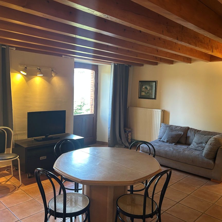 Appartement meublé avec terrasse à louer à Roiffieux ! - Photo 1