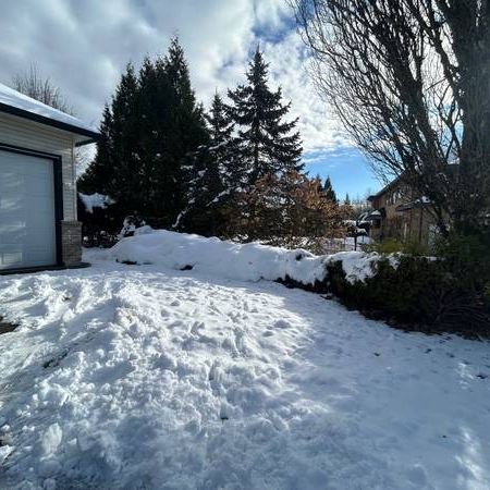 Prosprise Realty-3 Bed 1 Bath suite for Rent in maple ridge REF#13046L - Photo 4