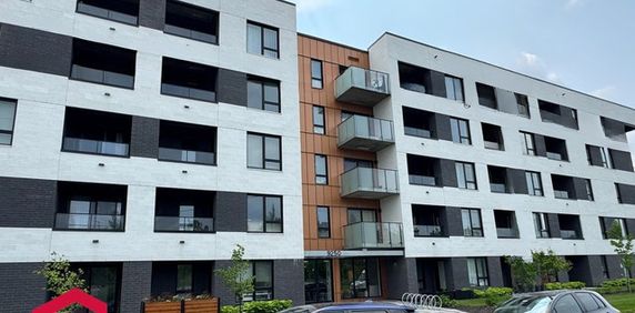 Appartement Mercier/Hochelaga-Maisonneuve (Montréal) À Louer - Photo 2