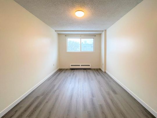 One bedroom apartment near downtown - Photo 1