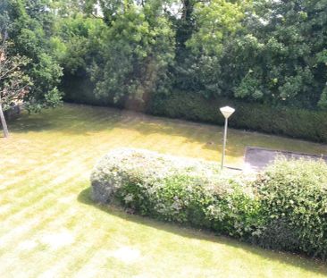 studio to rent Ladbroke Road, Redhill - Photo 2