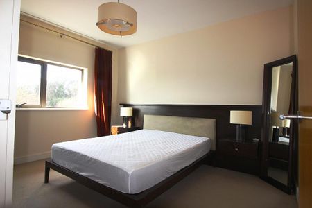 14 Stranmillis Wharf, 2 Lockview Road, Belfast BT9 5GN - Photo 3