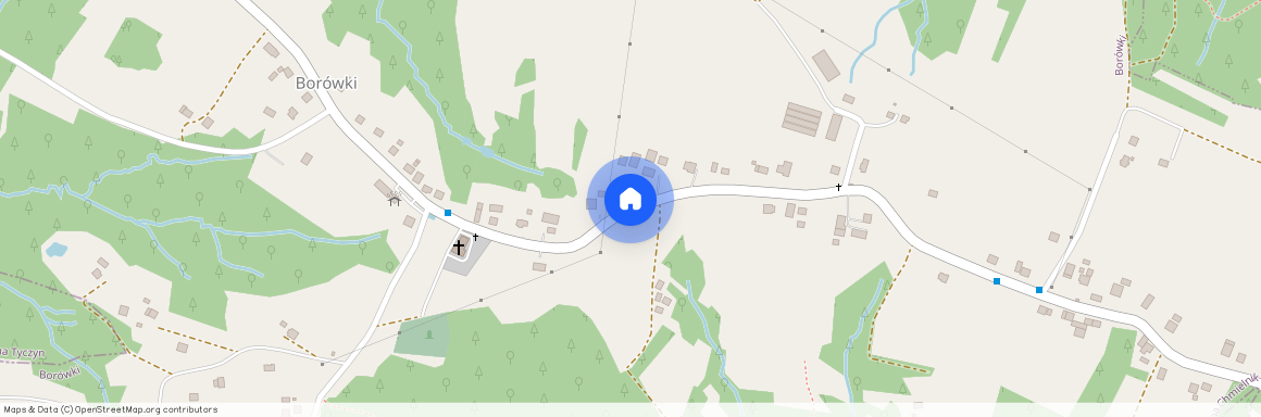 Rzeszowski, Chmielnik, Borówki