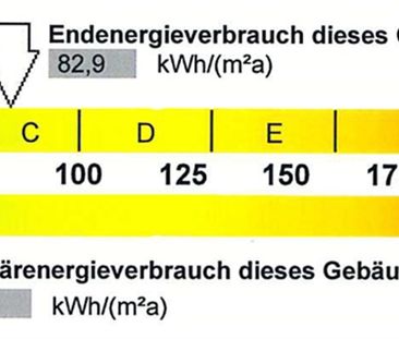 Alles wird neu - tolle 3-Raumwohnung in grüner Lage - Foto 6