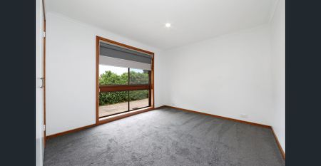 Spacious Renovated Unit - Photo 4