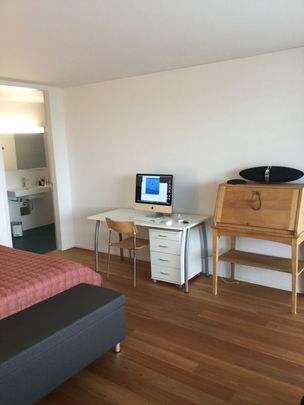 21/2-ROOM APARTMENT IN BERN - WABERN, FURNISHED, TEMPORARY - Photo 1