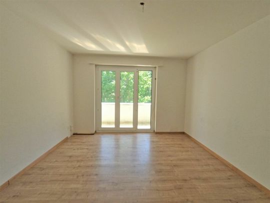 #verliebtinschaffhausen - wundervolle Wohnung mit neuer Küche, neuem Bad und sonnigem Balkon - Photo 1