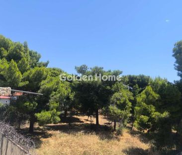 Διαμέρισμα για ενοικίαση Ραφήνα - Photo 5