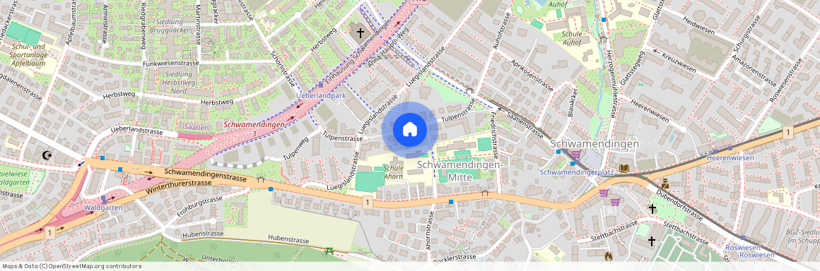 Tulpenstrasse 30, 8051 Zürich