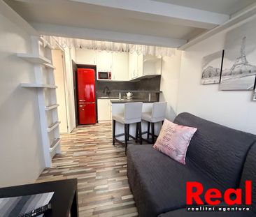 Pronájem bytu 1+1 31 m², Žižkova 541, Hrušovany u Brna - Fotografie 5
