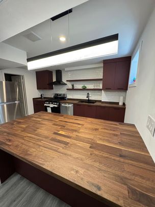 For Lease - 19 Marsh Street Unit# Bsmt, Richmond Hill, Ontario - Photo 1