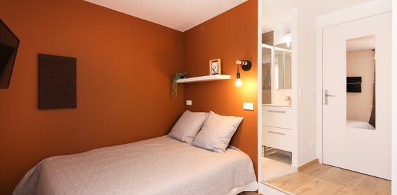 MIRIBEL Roommate 4 Bedrooms at Lyon 7e - Photo 2