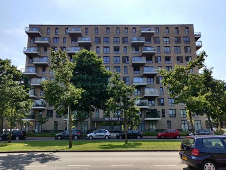 Te huur: Appartement Loevesteinlaan in Den Haag - Foto 3
